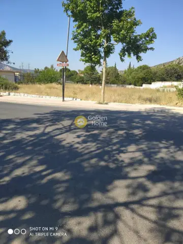 Επαγγελ. Οικόπεδο 832τ.μ. προς πώληση φωτογραφία 4
