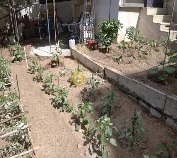 Οικιστικό 300τ.μ. προς πώληση φωτογραφία 12