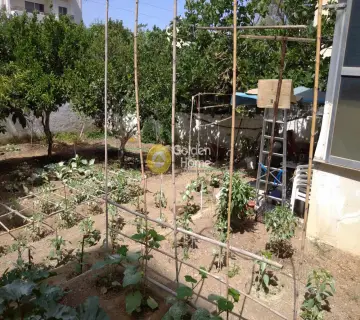 Οικιστικό 300τ.μ. προς πώληση φωτογραφία 16