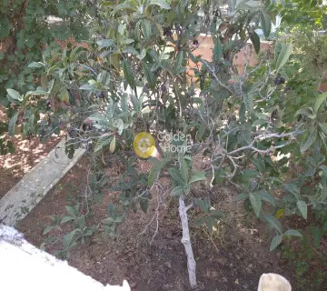Οικιστικό 300τ.μ. προς πώληση φωτογραφία 27