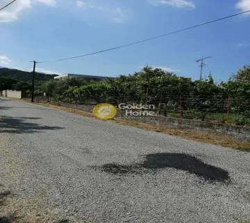 Residential 832m<sup>2</sup> for sale photo 2654280