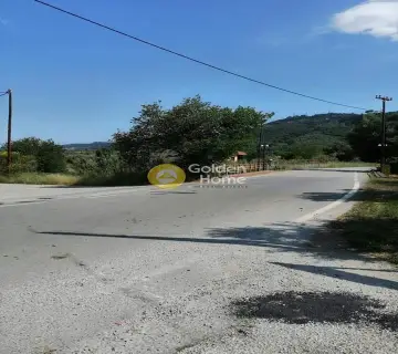 Residential 832m<sup>2</sup> for sale photo 2654282