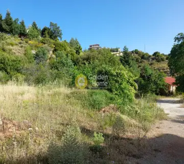 Residential 510m<sup>2</sup> for sale photo 3