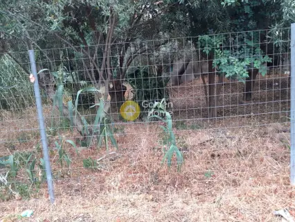 Οικιστικό 508τ.μ. προς πώληση φωτογραφία 3