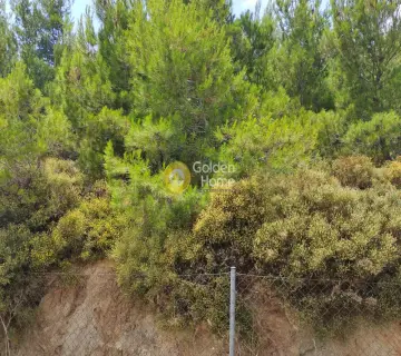 Residential 491m<sup>2</sup> for sale photo 1