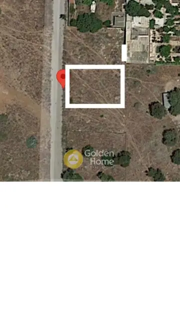 Residential 282m<sup>2</sup> for sale photo 5566849