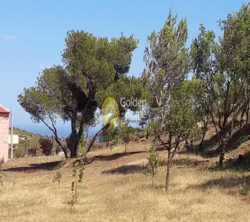 Residential 2786m<sup>2</sup> for sale photo 7
