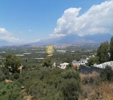 Golden Home Property Image