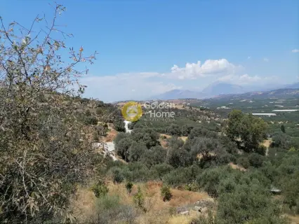 Οικιστικό 623τ.μ. προς πώληση φωτογραφία 3