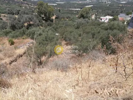 Οικιστικό 623τ.μ. προς πώληση φωτογραφία 14