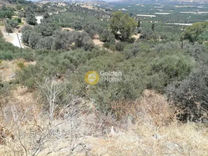 Οικιστικό 623τ.μ. προς πώληση φωτογραφία 15