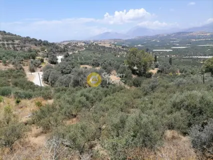 Οικιστικό 623τ.μ. προς πώληση φωτογραφία 4