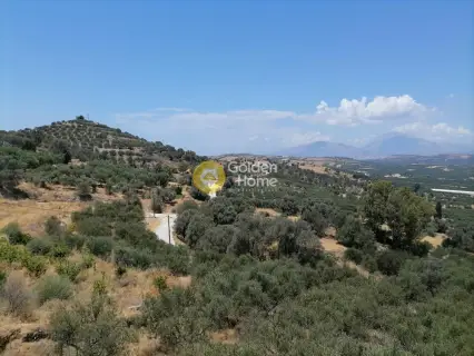 Οικιστικό 623τ.μ. προς πώληση φωτογραφία 5