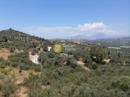 Οικιστικό 623τ.μ. προς πώληση φωτογραφία 7