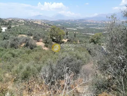 Οικιστικό 623τ.μ. προς πώληση φωτογραφία 16