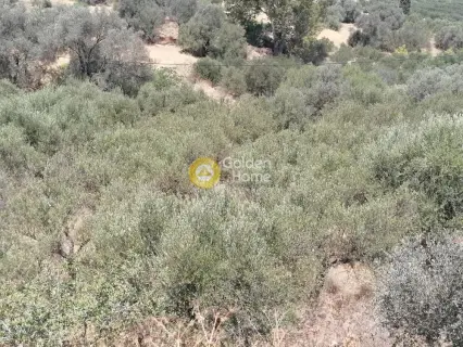 Οικιστικό 623τ.μ. προς πώληση φωτογραφία 18