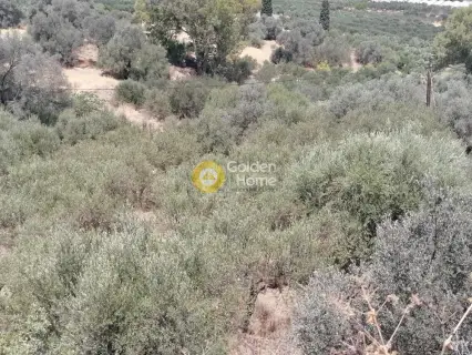 Οικιστικό 623τ.μ. προς πώληση φωτογραφία 19