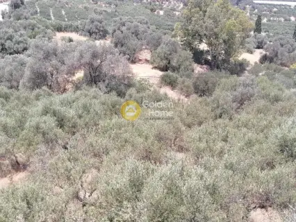 Οικιστικό 623τ.μ. προς πώληση φωτογραφία 20