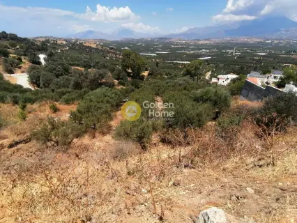 Οικιστικό 623τ.μ. προς πώληση φωτογραφία 12