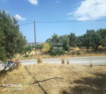 Area 7600m<sup>2</sup> for sale photo 5