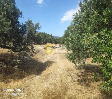 Area 7600m<sup>2</sup> for sale photo 19