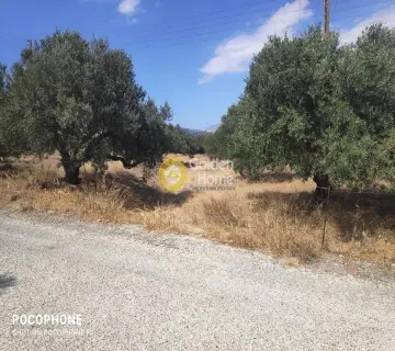 Area 7600m<sup>2</sup> for sale photo 20