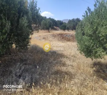 Area 7600m<sup>2</sup> for sale photo 27