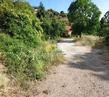Residential 576m<sup>2</sup> for sale photo 2685570