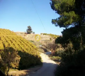 Residential 7297m<sup>2</sup> for sale photo 3