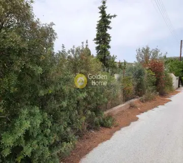 Οικιστικό 500τ.μ. προς ενοικίαση φωτογραφία 2659098