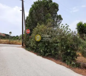 Οικιστικό 500τ.μ. προς ενοικίαση φωτογραφία 2659099