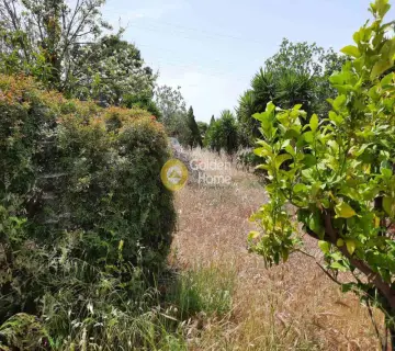 Οικιστικό 500τ.μ. προς ενοικίαση φωτογραφία 2659107