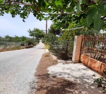 Οικιστικό 500τ.μ. προς ενοικίαση φωτογραφία 2659112