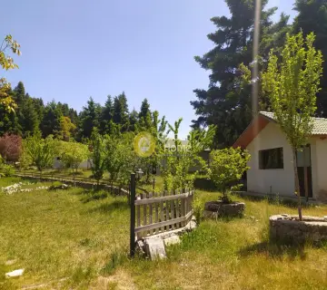 Area 7700m<sup>2</sup> for sale photo 36