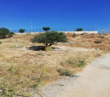 Area 166m<sup>2</sup> for sale photo 2664726