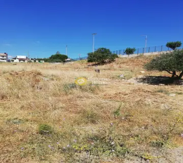 Area 166m<sup>2</sup> for sale photo 2664728