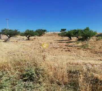 Area 275m<sup>2</sup> for sale photo 1