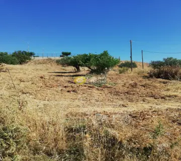 Area 275m<sup>2</sup> for sale photo 2
