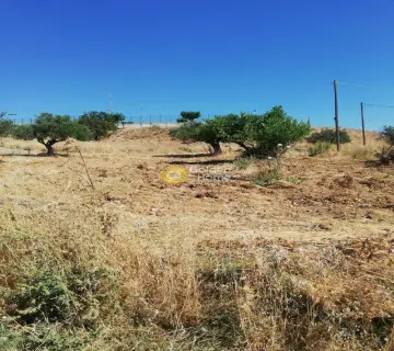 Area 275m<sup>2</sup> for sale photo 4