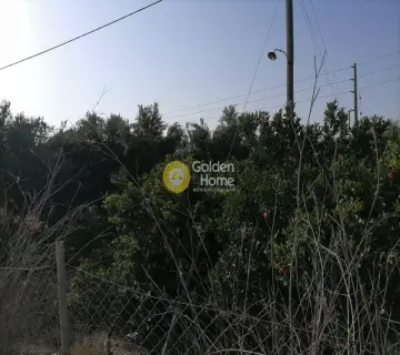 Residential 1320m<sup>2</sup> for sale photo 2