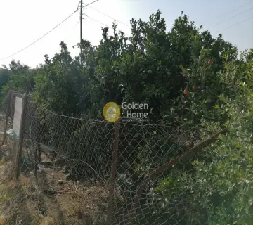 Golden Home Property Image