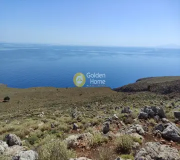 Area 35000m<sup>2</sup> for sale photo 2
