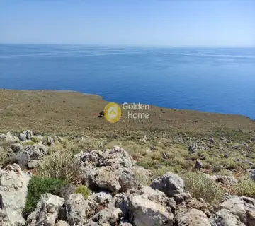 Area 35000m<sup>2</sup> for sale photo 3
