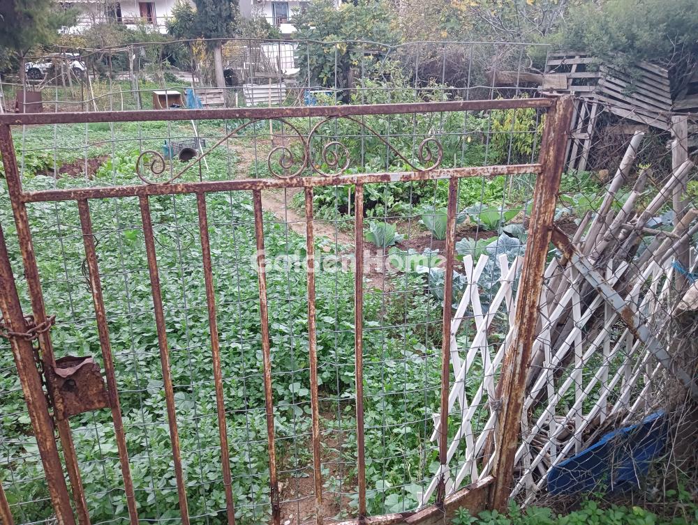 building-plot in Pallini — Photo 3 of 5