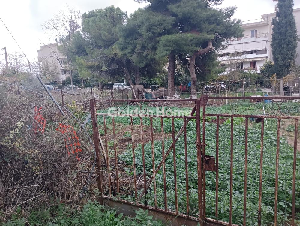 building-plot in Pallini — Photo 4 of 5