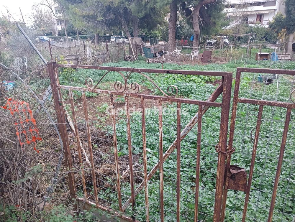 building-plot in Pallini — Photo 5 of 5