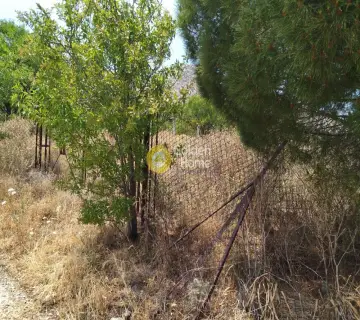 Parcel 1600m<sup>2</sup> for sale photo 2662402