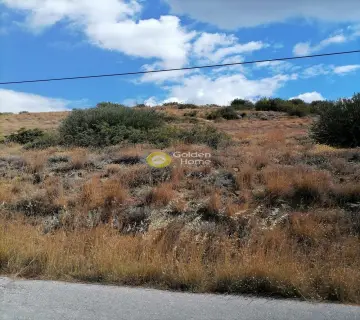 Residential 2900m<sup>2</sup> for sale photo 3