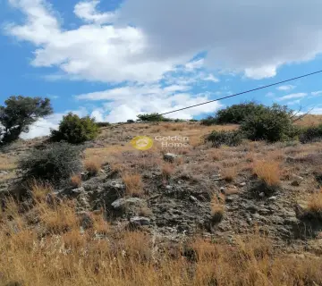 Residential 2900m<sup>2</sup> for sale photo 13
