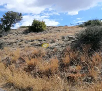 Residential 2900m<sup>2</sup> for sale photo 17